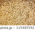 玄米　画面一面 115485592