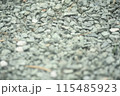 砂利の地面 115485923