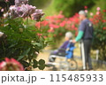 薔薇のある風景 115485933