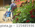 バラの花のある風景 115485936