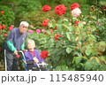 バラ園で撮影するシニア 115485940