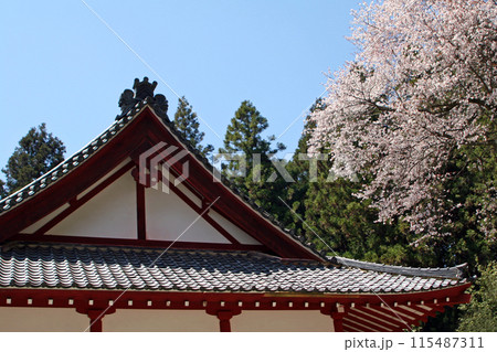 佛隆寺の桜 佛隆寺の桜 115487311