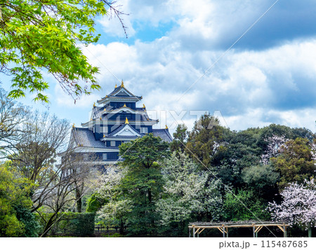 春の岡山　後楽園の趣深い景色　桜と新緑と岡山城 115487685