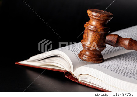 Wooden gavel and juridical books close up Wooden gavel and juridical books close up 115487756