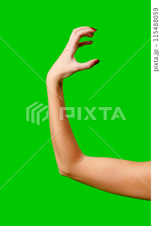 Womans Arm Hand Sign Raised in the Air 115488059