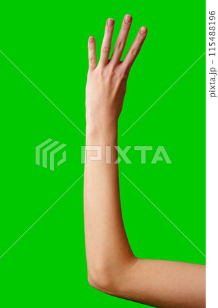 Close-Up of a Hand Gesturing Four Against a Green Background Close-Up of a Hand Gesturing Four Against a Green Background 115488196