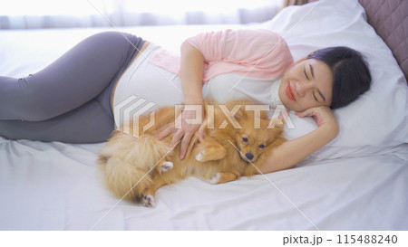 A portrait of happy Asian pregnant woman with domestic dog pet animal in bedroom at home. Having a baby. Family people lifestyle. Mom love. 115488240