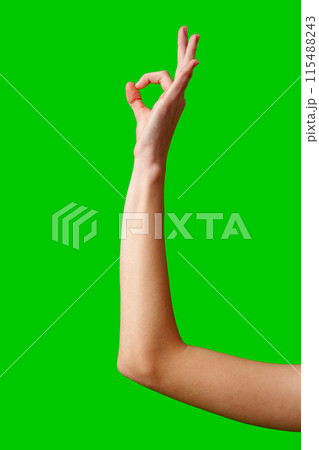 Hand Gesturing Okay Sign Against a Vibrant Green Background 115488243