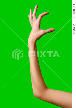 A womans hand extends upward into the air, fingers outstretched, reaching upward towards an unseen destination. 115488341