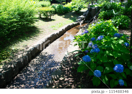 せせらぎ公園 せせらぎ公園 115488346