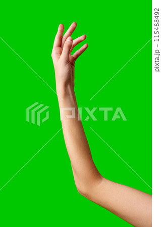 Hand Reaching Up on Green Background 115488492