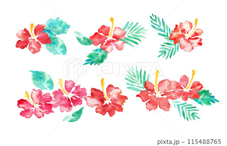 水彩画。水彩タッチのハイビスカスベクターフレーム。南国風ハイビスカスの背景。 115488765