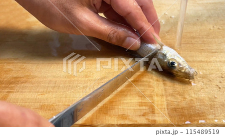 釣りたての鱚を包丁で捌く 115489519