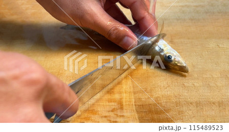釣りたての鱚を包丁で捌く 釣りたての鱚を包丁で捌く 115489523