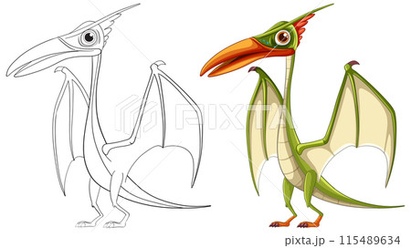 Colorful and Outline Pterosaur Illustration 115489634