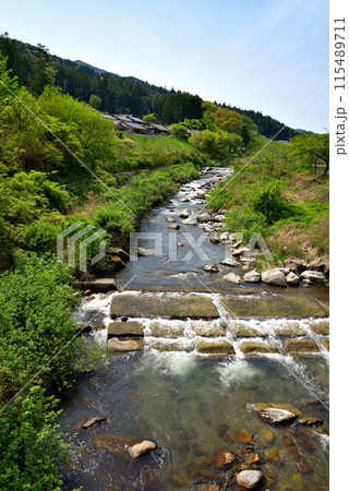 《岐阜県》新緑の季節を迎えた中津川市加子母を流れる白川 115489711