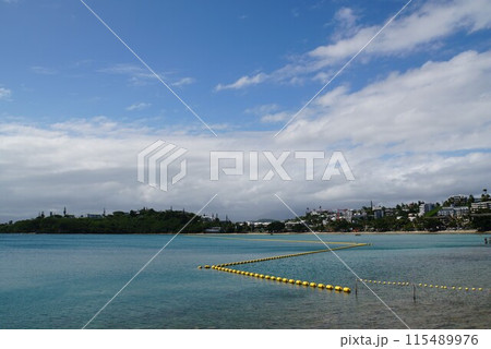 シトロン湾の風景　ニューカレドニア 115489976