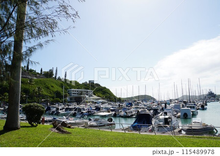 ニューカレドニアの漁港の風景 115489978