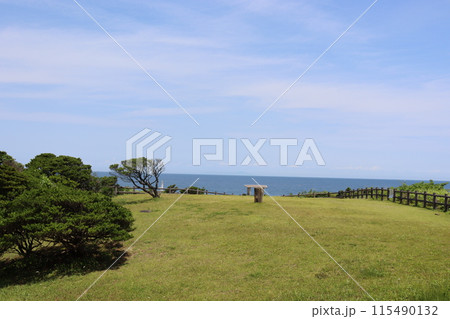 海の見える公園 115490132