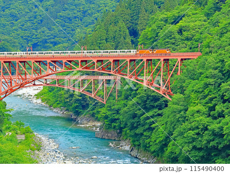 黒部峡谷鉄道トロッコ電車欅平行き 115490400