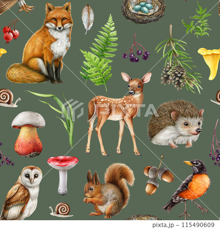 Cute forest animals seamless pattern. Watercolor illustration. Hand drawn fox, squirrel, owl, robin, mushrooms with natural elements. Woodland animals with forest elements seamless pattern Cute forest animals seamless pattern. Watercolor illustration. Hand drawn fox, squirrel, owl, robin, mushrooms with natural elements. Woodland animals with forest elements seamless pattern 115490609