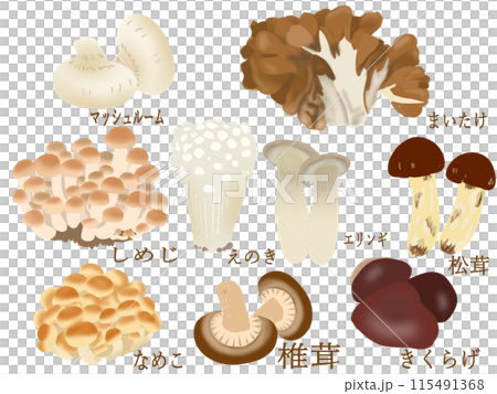 きのこ類 きのこ類 115491368
