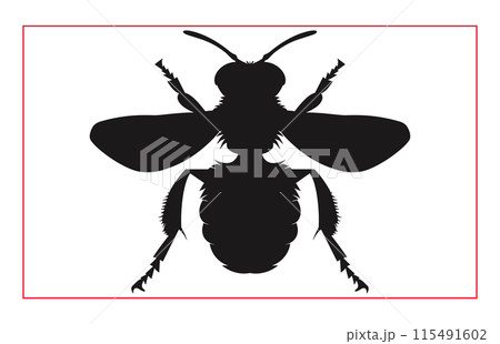 Honey Bee Hand drawing silhouette, Illustration of Bee Silhouette Art 115491602