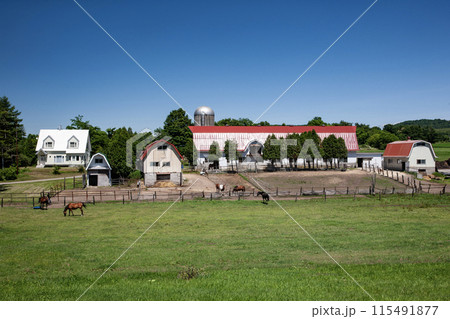 北海道の牧場風景 115491877