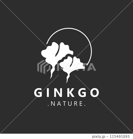 Ginkgo biloba leaf logo. can be used for herbal health products modern style logo design template Ginkgo biloba leaf logo. can be used for herbal health products modern style logo design template 115491893