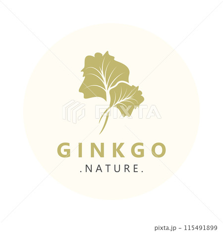 Ginkgo biloba leaf logo. can be used for herbal health products modern style logo design template Ginkgo biloba leaf logo. can be used for herbal health products modern style logo design template 115491899