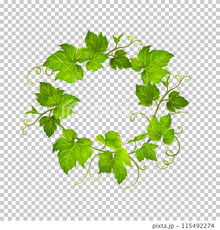 Watercolor wreath of grape leaves and tendrils for wedding invitation or greeting card design, vineyard celebration decor, menus, labels for wine and wine vinegar. Isolated hand drawn illustration 115492274