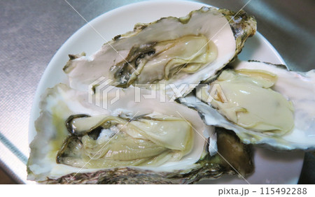 むき身になった生牡蠣3個の風景 115492288