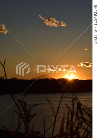 東京都　狭山公園からの夕景 115492349