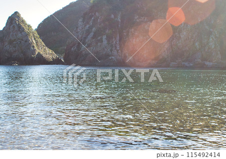 坊ノ岬 海岸 坊ノ岬 海岸 115492414