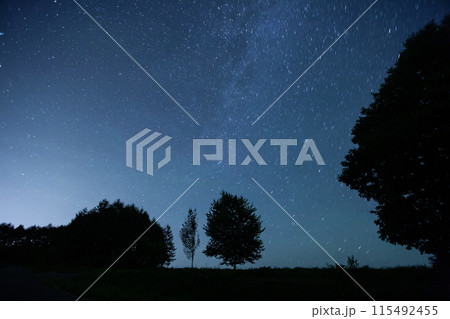 丘の上の星空 115492455