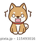 驚いている柴犬の背景なしイラスト 115493016