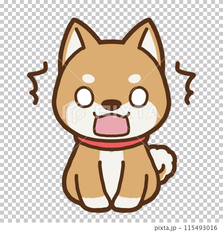驚いている柴犬の背景なしイラスト 115493016