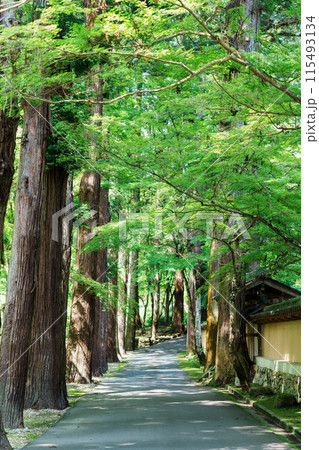 三原佛通寺 115493134