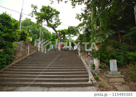新緑の足羽神社 新緑の足羽神社 115493383