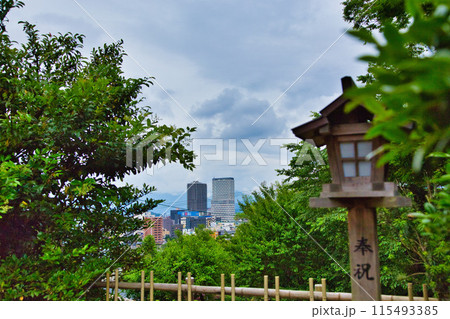 新緑の足羽神社 新緑の足羽神社 115493385