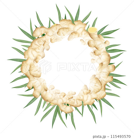 Ginger roots with green leaves round wreath watercolor illustration isolated on white background in pastel beige colors for label and logo. Horseradish spicy vegetable for organic herbal designs Ginger roots with green leaves round wreath watercolor illustration isolated on white background in pastel beige colors for label and logo. Horseradish spicy vegetable for organic herbal designs 115493570