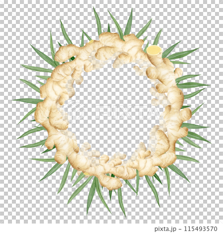 Ginger roots with green leaves round wreath watercolor illustration isolated on white background in pastel beige colors for label and logo. Horseradish spicy vegetable for organic herbal designs Ginger roots with green leaves round wreath watercolor illustration isolated on white background in pastel beige colors for label and logo. Horseradish spicy vegetable for organic herbal designs 115493570