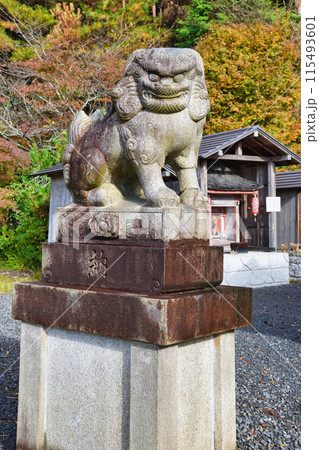 京都　大原　出世稲荷神社　奥の宮　出世稲荷大神の狛犬（京都市左京区大原来迎院町） 115493601