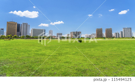 川崎の都市景観 多摩川緑地と川崎駅前のビル群の風景【神奈川県・川崎市】 川崎の都市景観 多摩川緑地と川崎駅前のビル群の風景【神奈川県・川崎市】 115494125
