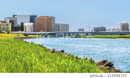 川崎の都市景観 多摩川河川敷から見た川崎駅前のビル群【神奈川県・川崎市】 川崎の都市景観 多摩川河川敷から見た川崎駅前のビル群【神奈川県・川崎市】 115494153