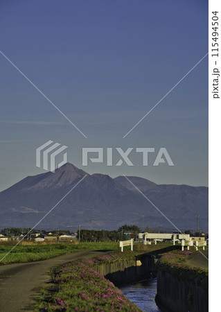 芝桜と霧島連山 芝桜と霧島連山 115494504
