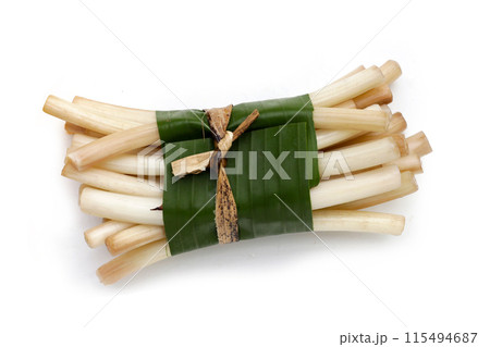 Fresh lotus rootlet on white background. 115494687