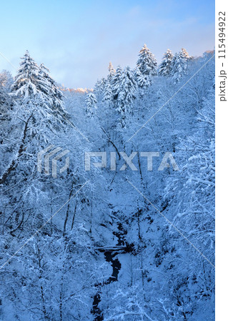 峡谷に初雪 峡谷に初雪 115494922