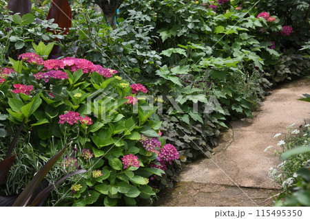 英国式庭園 英国式庭園 115495350