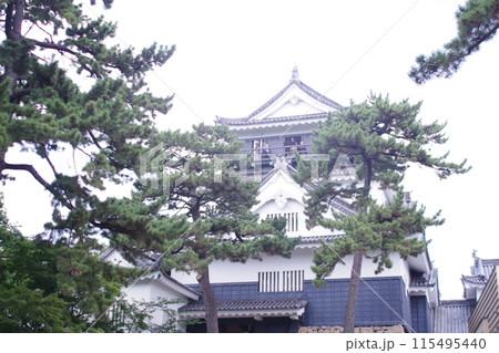 日本の城 115495440